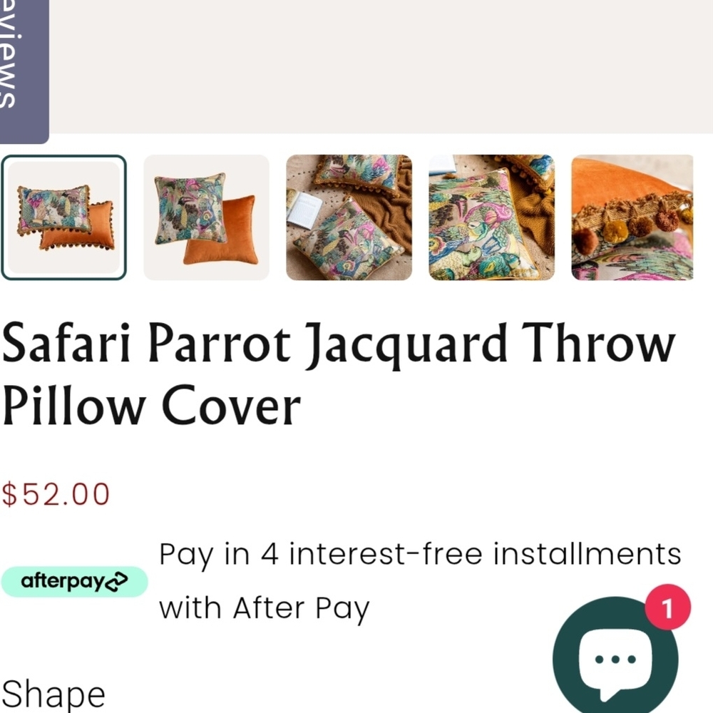 Colorful Parrot Print Throw Pillows - Picture 4 of 5